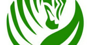 Зеленая зебра