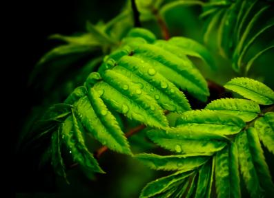 Каждый день на коньках!